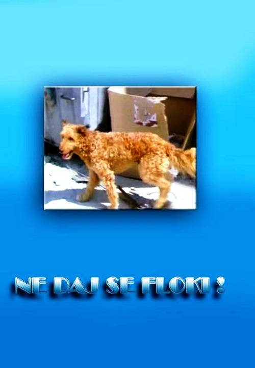 Plakat filma Ne daj se, Floki